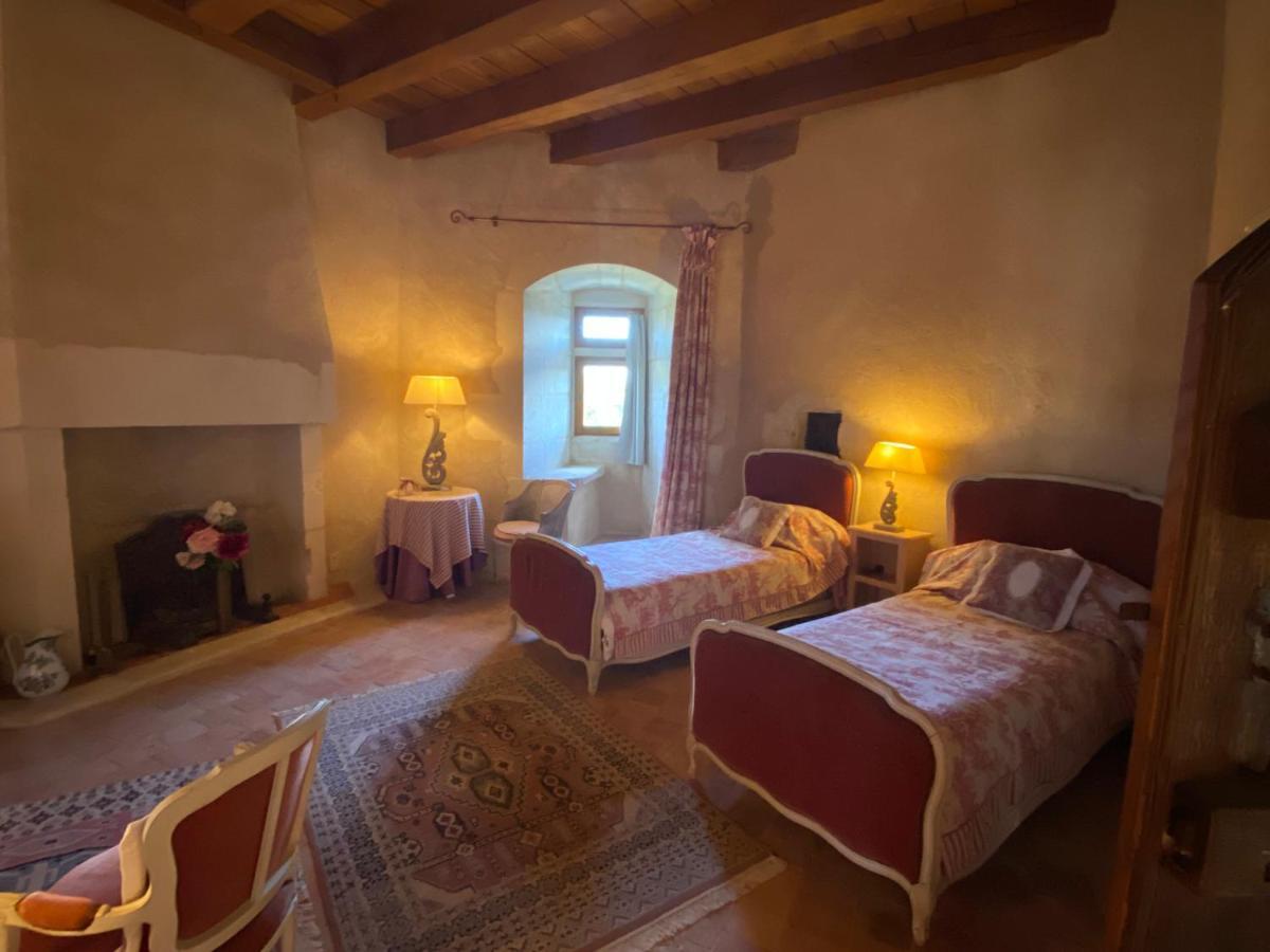 Chateau D'Ingrandes Ingrandes  Esterno foto