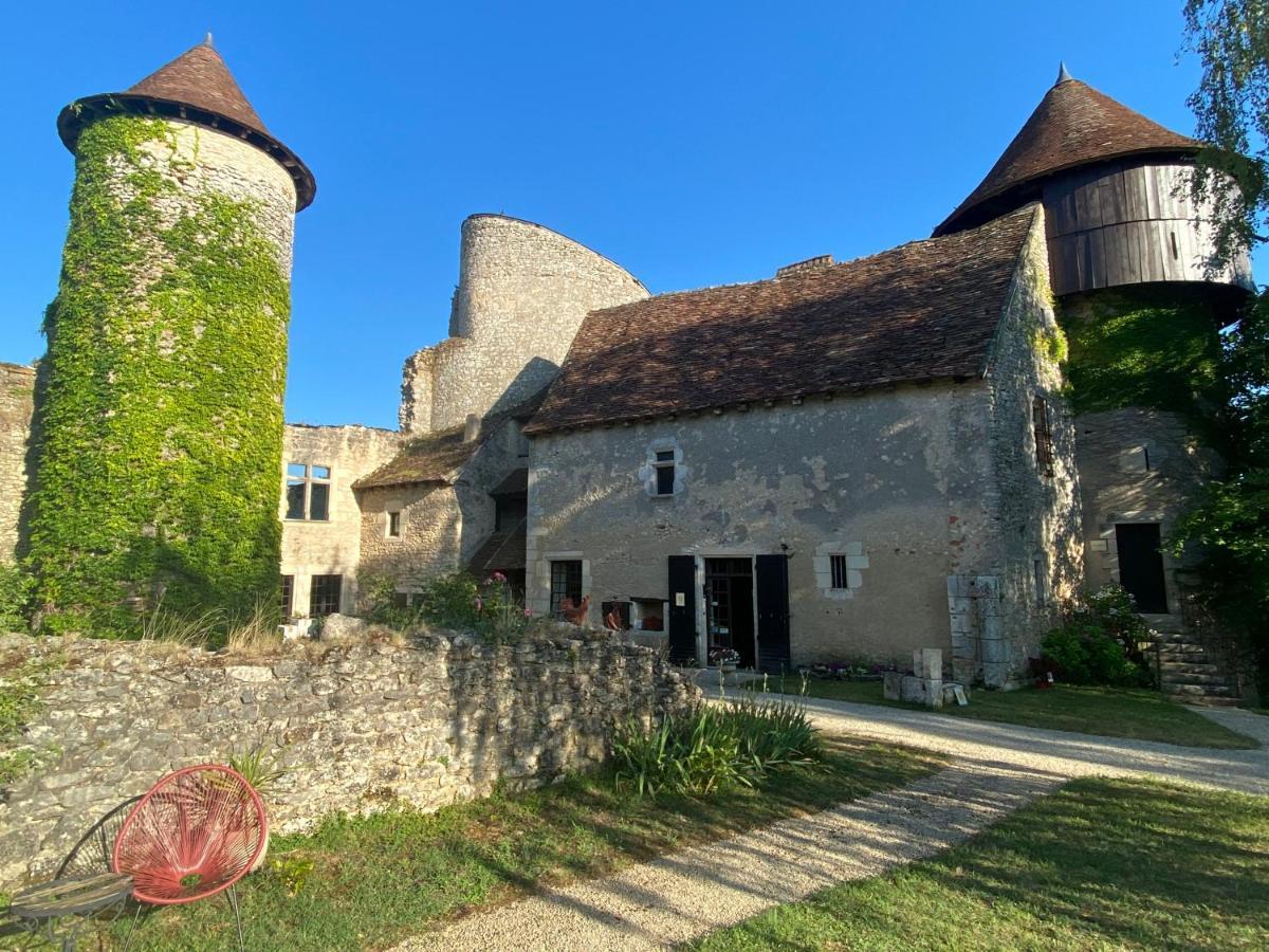 Chateau D'Ingrandes Ingrandes  Esterno foto