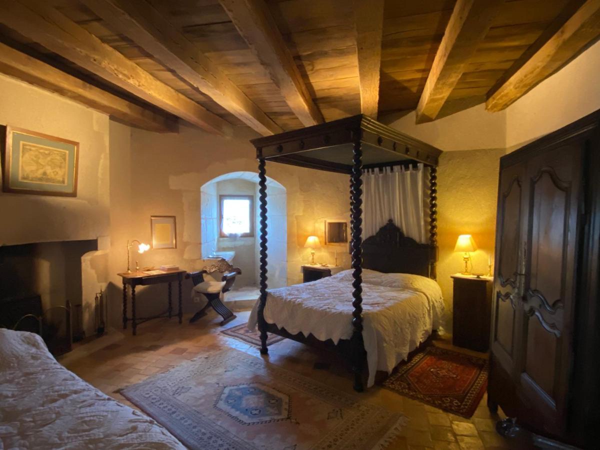 Chateau D'Ingrandes Ingrandes  Esterno foto