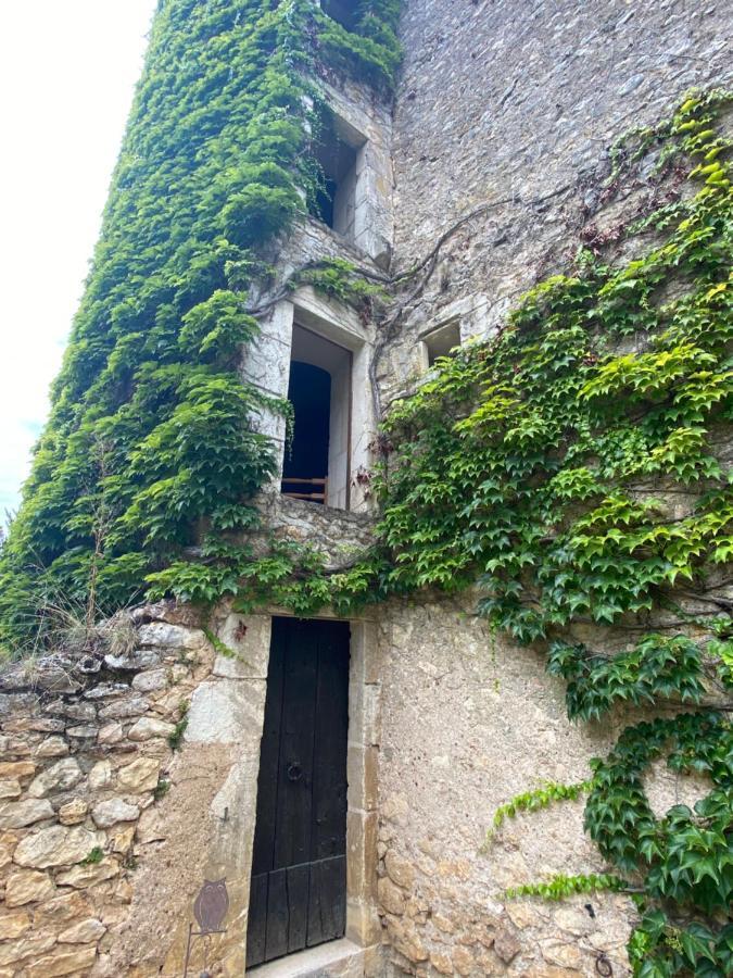 Chateau D'Ingrandes Ingrandes  Esterno foto
