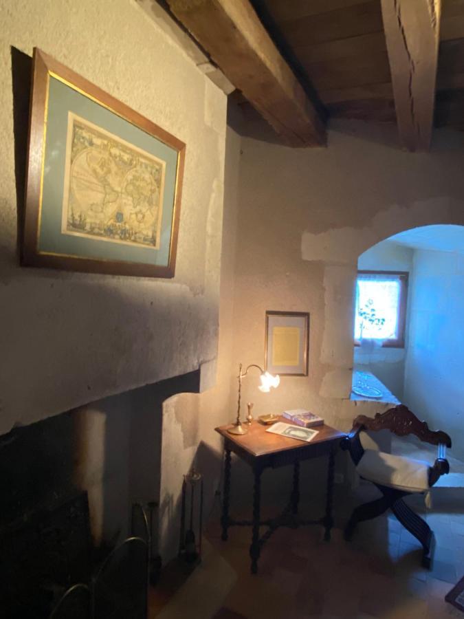 Chateau D'Ingrandes Ingrandes  Esterno foto