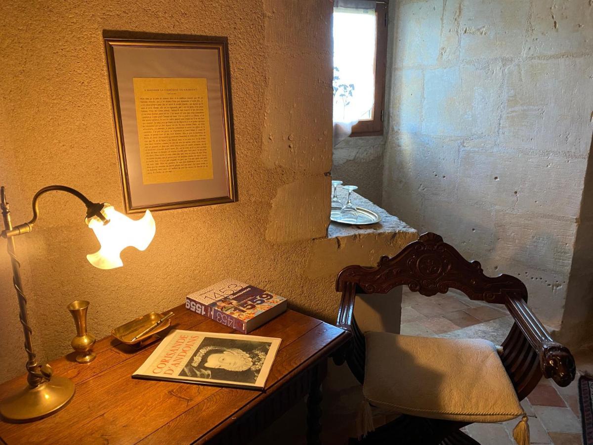 Chateau D'Ingrandes Ingrandes  Esterno foto