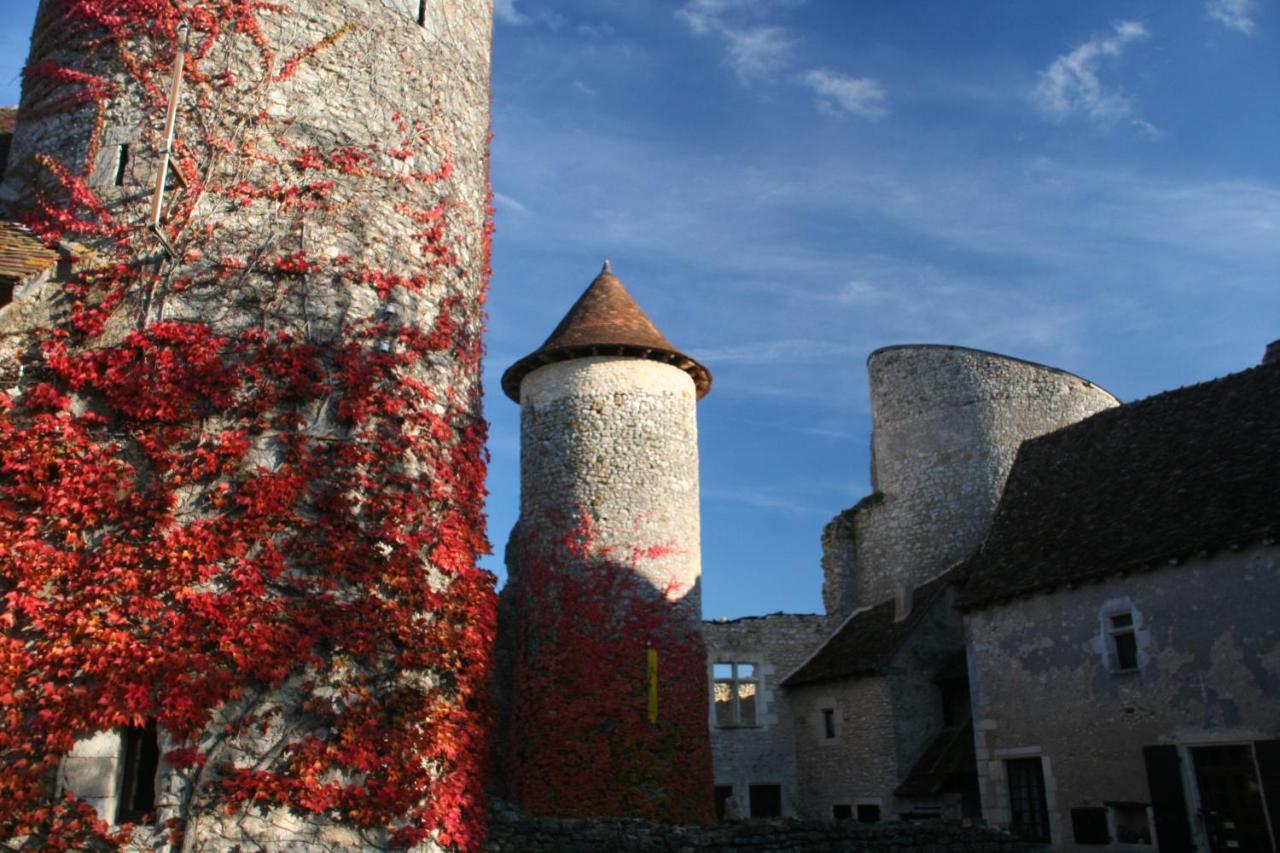 Chateau D'Ingrandes Ingrandes  Esterno foto