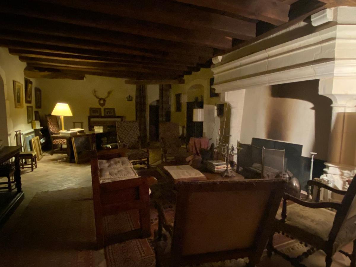 Chateau D'Ingrandes Ingrandes  Esterno foto