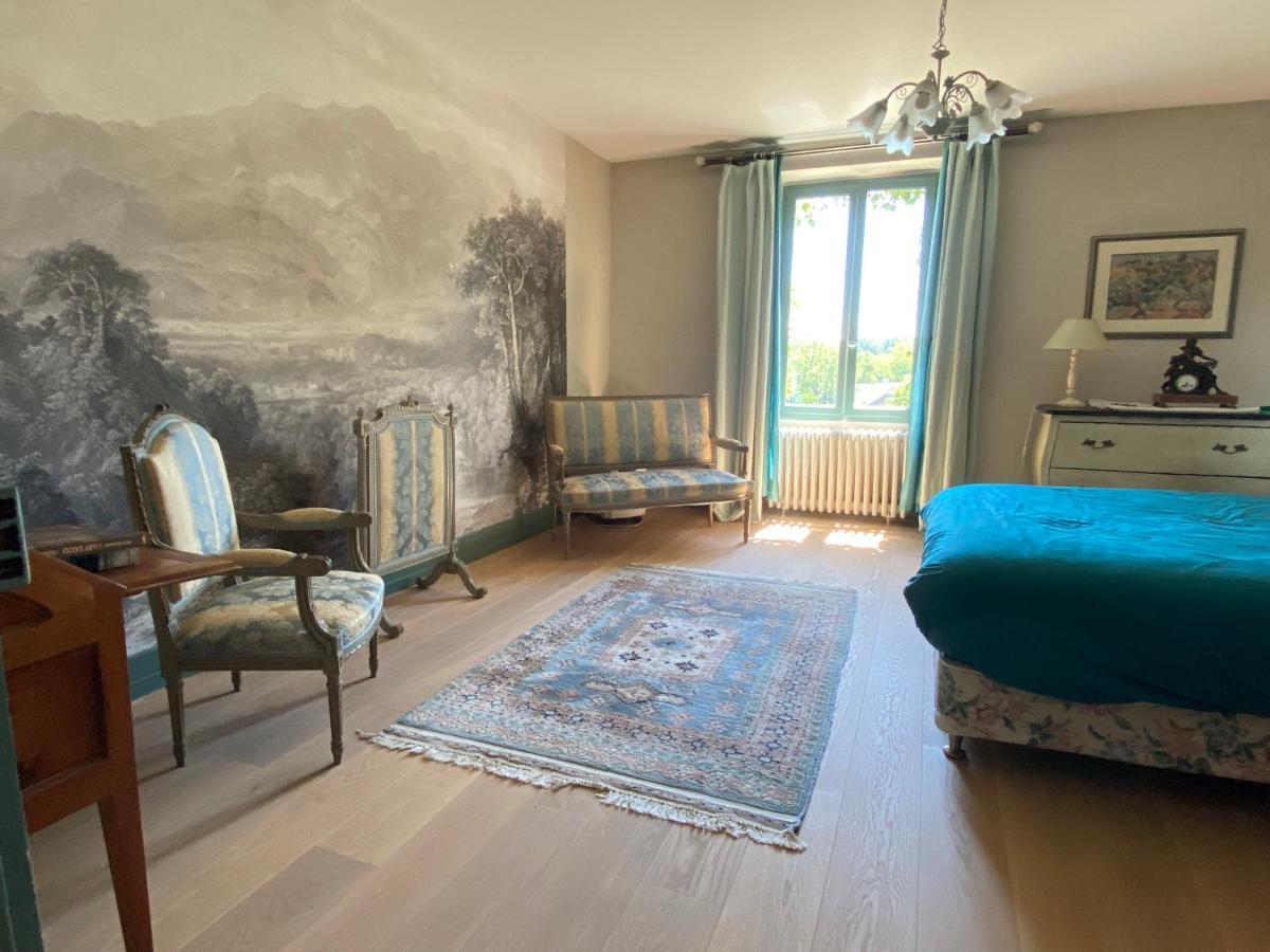 Chateau D'Ingrandes Ingrandes  Esterno foto