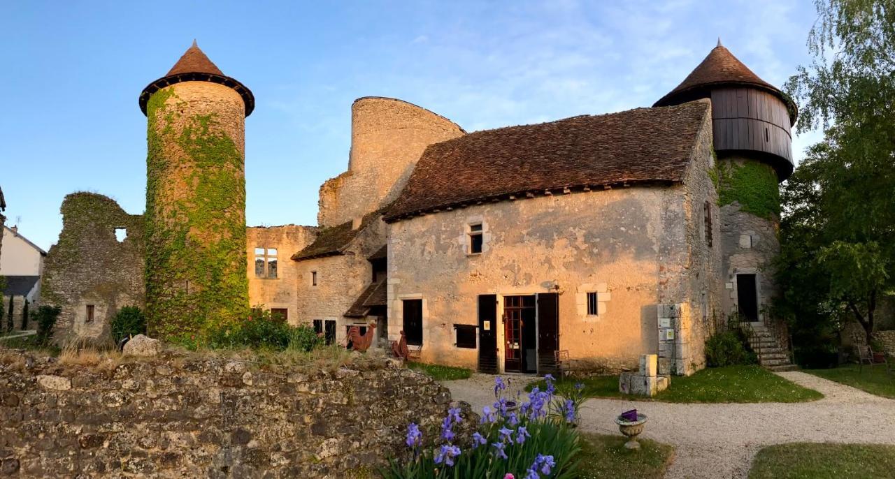 Chateau D'Ingrandes Ingrandes  Esterno foto