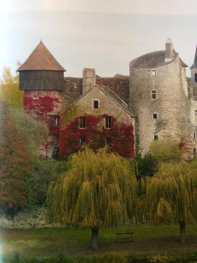 Chateau D'Ingrandes Ingrandes  Esterno foto