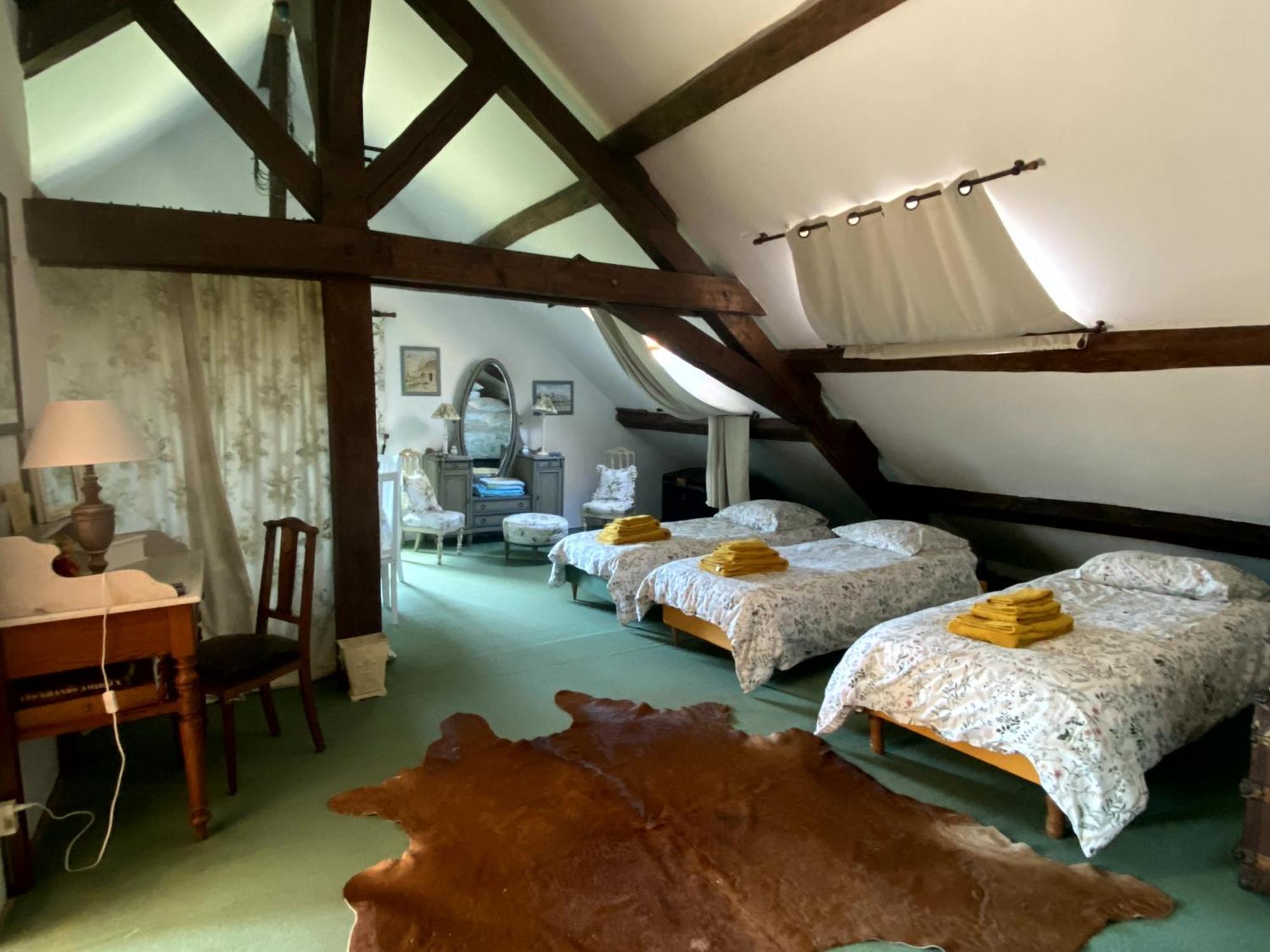 Chateau D'Ingrandes Ingrandes  Camera foto