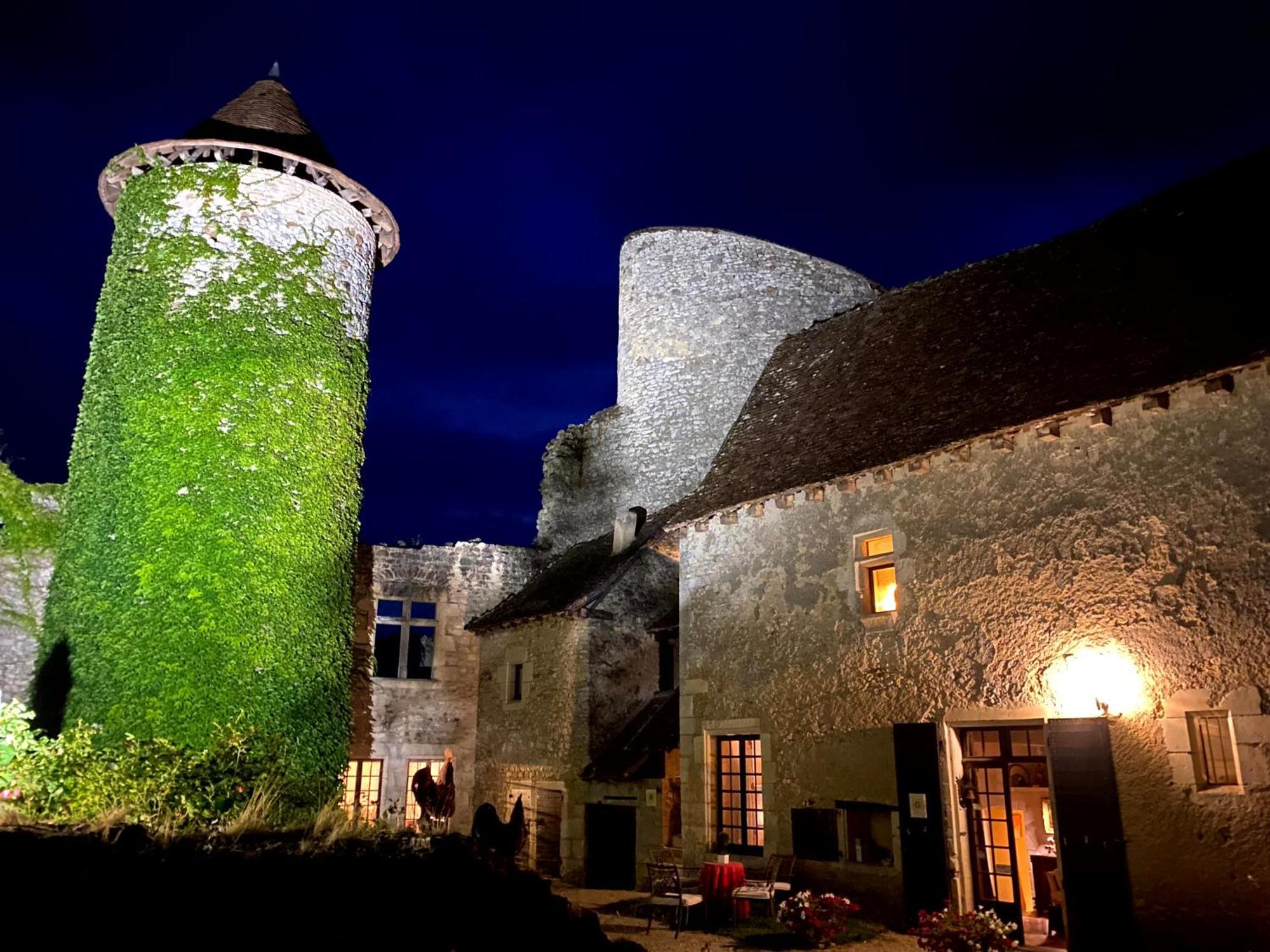 Chateau D'Ingrandes Ingrandes  Esterno foto