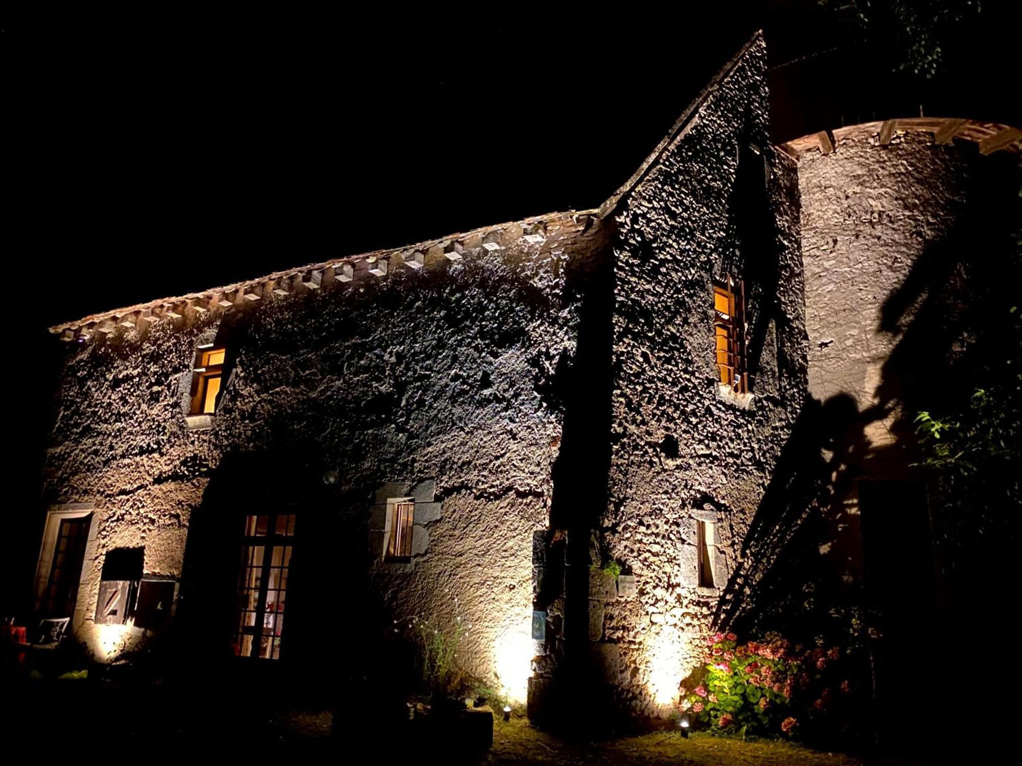Chateau D'Ingrandes Ingrandes  Esterno foto